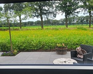 Uitzicht vanuit het raam op het terras en de natuur bij Huisje in Beers, vakantiehuis in Beers NB.