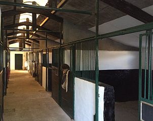 Paardenstal bij Vakantiehuisje in Beugen, Noordoost Brabant, ideaal voor paardenliefhebbers en een landelijke ervaring.