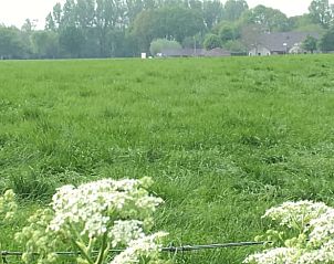 Weelderige velden rondom Vakantiehuisje in Beugen, Noordoost Brabant, bieden rust en een prachtig uitzicht.