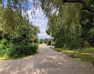 BRA100 vakantiehuis in Holthees biedt een groene tuin met schaduwrijke zitplaatsen.