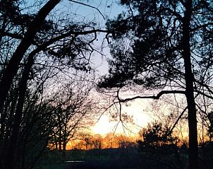 Guest house 435001 - Tent house Noordoost Brabant - Vakantiehuis in Sint-Oedenrode