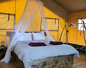 Guest house 435001 - Tent house Noordoost Brabant - Vakantiehuis in Sint-Oedenrode