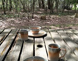 Guest house 435001 - Tent house Noordoost Brabant - Vakantiehuis in Sint-Oedenrode