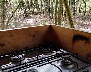 Guest house 435001 - Tent house Noordoost Brabant - Vakantiehuis in Sint-Oedenrode