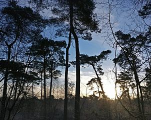 Guest house 435001 - Tent house Noordoost Brabant - Vakantiehuis in Sint-Oedenrode