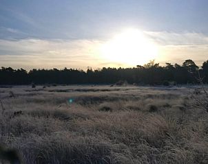 Guest house 435001 - Tent house Noordoost Brabant - Vakantiehuis in Sint-Oedenrode