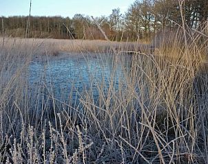 Guest house 435001 - Tent house Noordoost Brabant - Vakantiehuis in Sint-Oedenrode