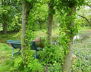 Guest house 435004 - Holiday property Noordoost Brabant - Vakantiehuisje in Sint-Oedenrode