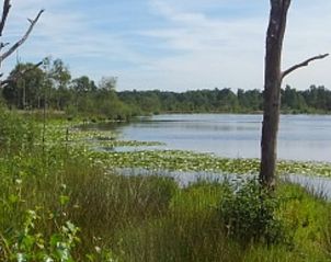 Guest house 435004 - Holiday property Noordoost Brabant - Vakantiehuisje in Sint-Oedenrode