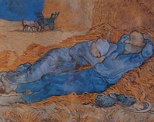 Guest house 435005 - Holiday property Noordoost Brabant - Vakantiehuisje in Sint-Oedenrode