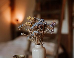 Unterkunft 435008 - Ferienhaus Noordoost Brabant - Huisje in Sint-Oedenrode