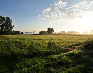 Unterkunft 435008 - Ferienhaus Noordoost Brabant - Huisje in Sint-Oedenrode