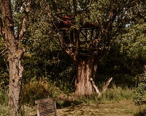 Guest house 435009 - Holiday property Noordoost Brabant - Vakantiehuisje in Sint-Oedenrode