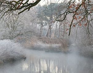 Unterkunft 435011 - Ferienhaus Noordoost Brabant - Vakantiehuis in Sint-Oedenrode
