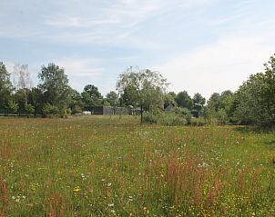 Unterkunft 435011 - Ferienhaus Noordoost Brabant - Vakantiehuis in Sint-Oedenrode