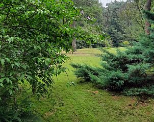 Guest house 435014 - Holiday property Noordoost Brabant - Vakantiehuis in St Oedenrode