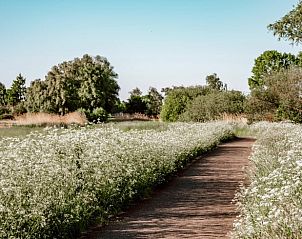 Guest house 435019 - Holiday property Noordoost Brabant - Vakantiehuisje in Sint-Oedenrode