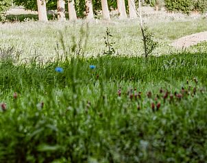 Unterkunft 435020 - Ferienhaus Noordoost Brabant - Vakantiehuis in Sint-Oedenrode