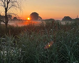 Unterkunft 435020 - Ferienhaus Noordoost Brabant - Vakantiehuis in Sint-Oedenrode