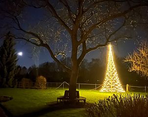 Sfeervolle tuinverlichting bij nacht in Huisje in Reek, vakantieverblijf in Noordoost Brabant.