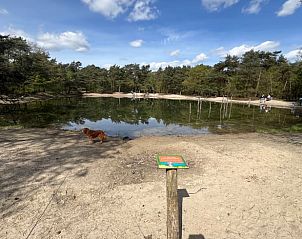 Natuurlijke vijver in de buurt van Huisje in Reek, vakantieverblijf in Noordoost Brabant.
