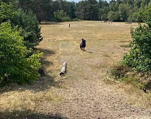 Wandelpad in de natuur rondom Huisje in Reek, vakantiehuis in Noord Brabant.