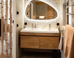 Moderne badkamer in Vakantiehuis in Reek, Noordoost Brabant, met stijlvolle dubbele wastafel.