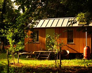 Rustiek vakantiehuisje in Reek omringd door groen, ideaal voor natuurliefhebbers in Noordoost Brabant.