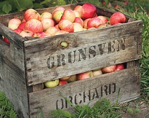 Vakantiehuisje in Huisseling, Noord-Brabant, houten krat gevuld met verse appels in de tuin.