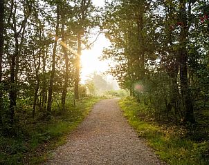 Vakantiehuisje in Huisseling, Noord-Brabant, schilderachtig wandelpad door bosrijke omgeving bij zonsopgang.