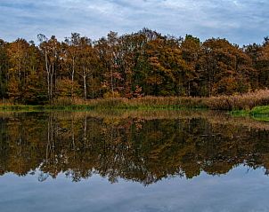 Vakantiehuisje in Huisseling, Noord-Brabant, serene vijver met herfstkleuren in de omgeving.
