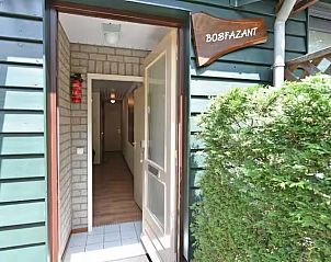 Verblijf 436023 - Vakantiewoning Noordoost Brabant - Het Bosnest