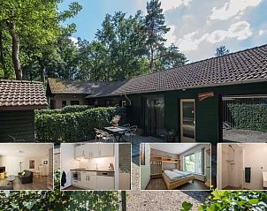 Verblijf 436028 - Vakantiewoning Noordoost Brabant - Het Lindennest