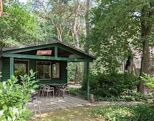Guest house 436033 - Bungalow Noordoost Brabant - Specht
