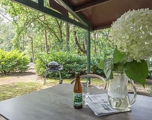 Guest house 436033 - Bungalow Noordoost Brabant - Specht