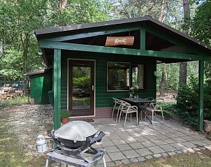 Guest house 436033 - Bungalow Noordoost Brabant - Specht