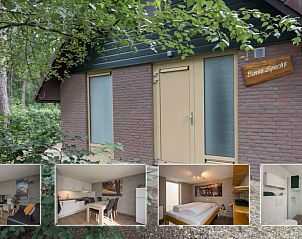 Guest house 436034 - Bungalow Noordoost Brabant - Bonte Specht