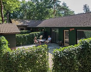 Guest house 436035 - Bungalow Noordoost Brabant - Knobbelzwaan