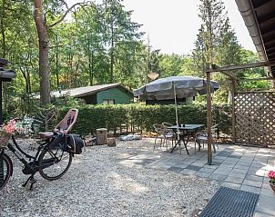 Unterkunft 436037 - Bungalow Noordoost Brabant - Zilverfazant