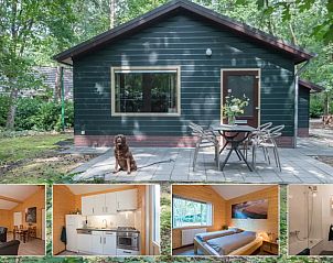 Verblijf 436046 - Bungalow Noordoost Brabant - Blauwe Pauw