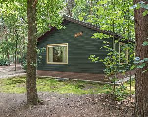 Verblijf 436046 - Bungalow Noordoost Brabant - Blauwe Pauw