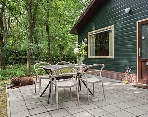 Verblijf 436046 - Bungalow Noordoost Brabant - Blauwe Pauw