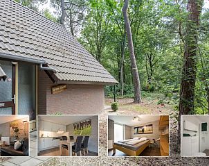 Verblijf 436049 - Bungalow Noordoost Brabant - Groene Specht