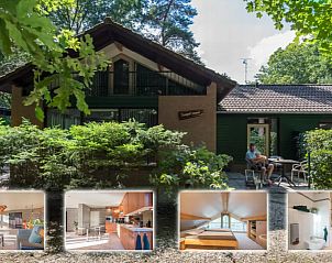 Verblijf 436052 - Vakantiewoning Noordoost Brabant - Trompetzwaan
