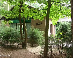 Verblijf 436052 - Vakantiewoning Noordoost Brabant - Trompetzwaan