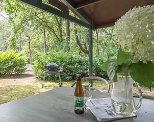 Unterkunft 436055 - Chalet Noordoost Brabant - 1-persoons Chalet