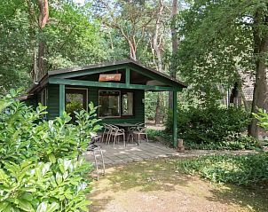 Unterkunft 436055 - Chalet Noordoost Brabant - 1-persoons Chalet