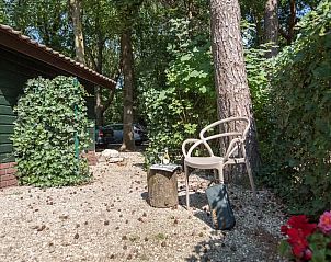 Verblijf 436059 - Chalet Noordoost Brabant - 1-persoons Holiday Home