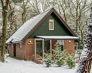 Verblijf 436061 - Bungalow Noordoost Brabant - 6-persoons Bosvilla All Electric