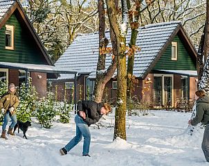 Verblijf 436061 - Bungalow Noordoost Brabant - 6-persoons Bosvilla All Electric